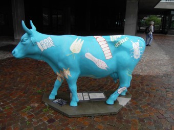 University Zurich, 2010
