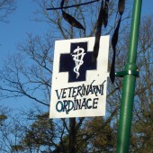 veterin�rn� ordinace